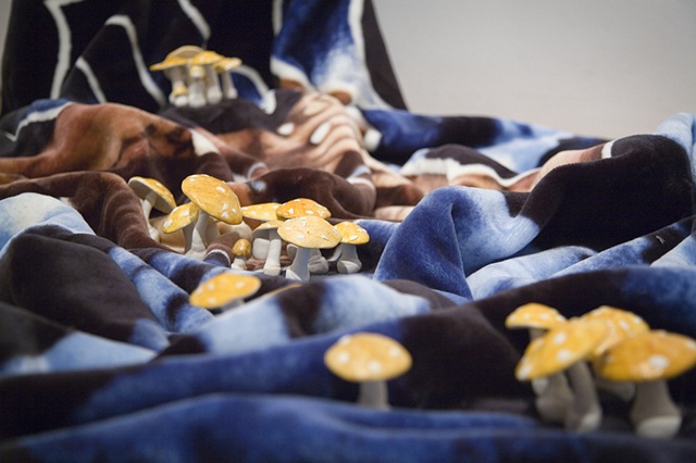 detail of 'Proposal for the Use of Tupac Shakur Blanket...'