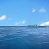 The SS OMD Sails
