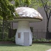 'Mushroom Studio'