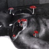 'Post Mortem Tupac with Amanita Muscaria'