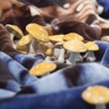 detail of 'Proposal for the Use of Tupac Shakur Blanket...'