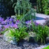 Landscape Solutions Inside