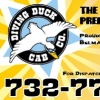 Diving Duck