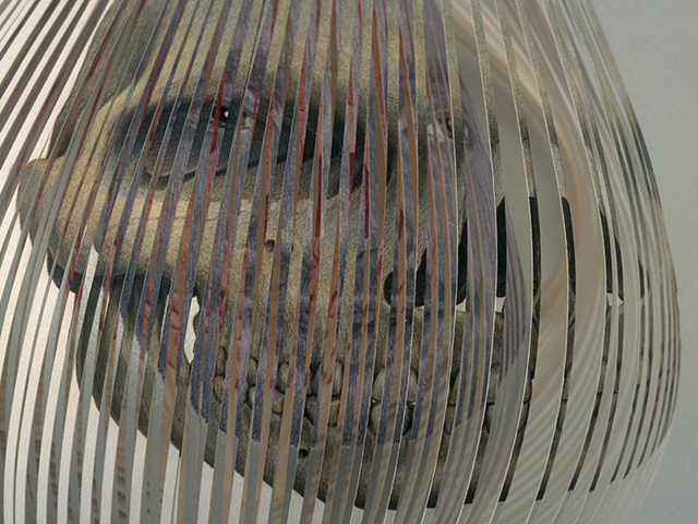 Benjamin Kress Sliced Skull
