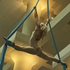 International Circus Festival