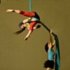 Lara Ebata  (with Andrea Ciacci)