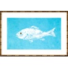 Turquoise Snapper Single/Paper