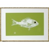 Moss Green Single/Canvas