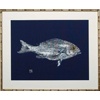 Navy Single/Canvas