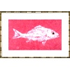 Pink Snapper Single/paper