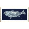Navy Blue Striper/Canvas