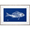 Cobalt Blue Snapper Single/canvas