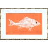 Mango Snapper Single/Paper