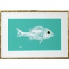 Caribbean Single/Canvas
