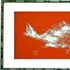 Prints