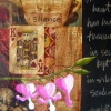 Hidden Treasure