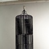 The Bird Cage Universe