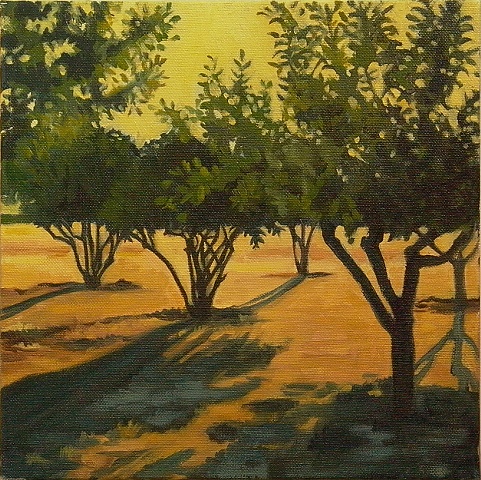 "St. Helena Orchard"