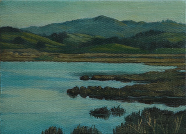 A small study of the Schollenberger Wetlands in Sonoma County.