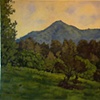 "View of Mt. Tamalpais"