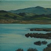 "Small Wetlands Study"