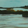 "Stormy Wetlands"