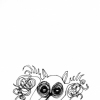 Noctural Moose