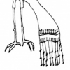 Dormant Peacock