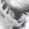 Pigeon Series Gesso Drawing  #1