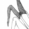 Battle of the Fishnets