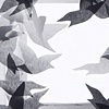 Pigeon Series Installation
