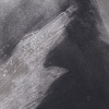 Pigeon Series Gesso Drawing #3