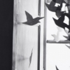 Pigeon Series Installation Phase #1