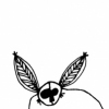 Noctural Mouse Cat