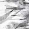 Detail Pigeon Series Etching #4