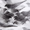 Detail Pigeon Series Etching #2