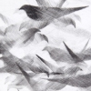 Detail Pigeon Series Etching #6
