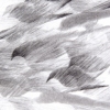 Detail Pigeon Series Etching #5