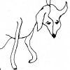 Lost Dog