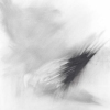 Pigeon Series Drawing #2