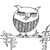 Sleepy Owl