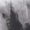 Pigeon Series Gesso Drawing #2