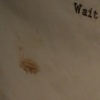 the napkin supposition