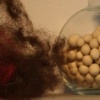 my 'wasted' eggs (detail)