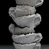 Tea cups