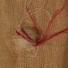 producing reproduction (detail)