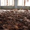 Pripyat, Ukraine