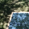 fragment of a postcard to Visalia, CA