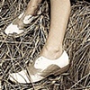 oxfords