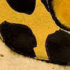 "Little Alice" Cup 
Detail Image